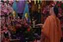 holi_nar_narayan_dev_jayanti_039.jpg